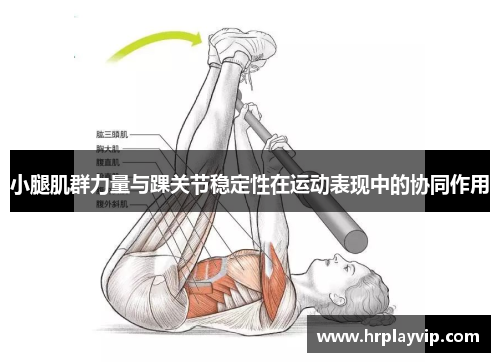 小腿肌群力量与踝关节稳定性在运动表现中的协同作用