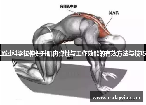 通过科学拉伸提升肌肉弹性与工作效能的有效方法与技巧